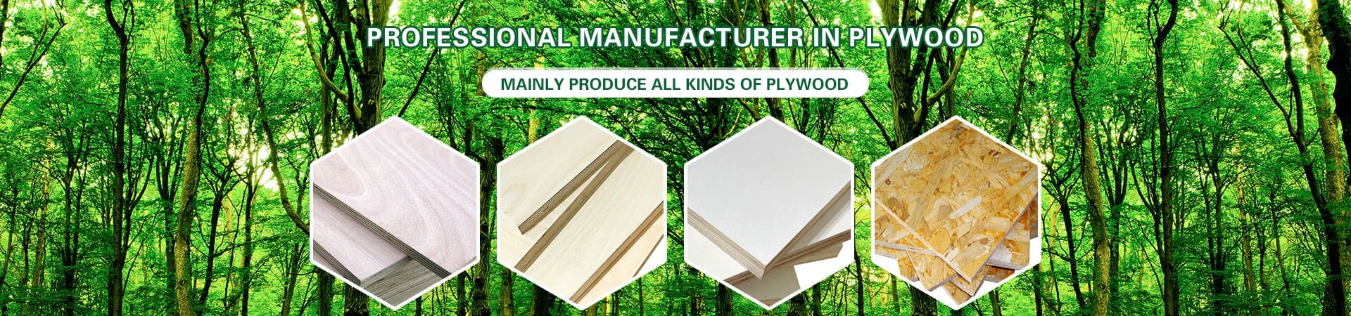 Banner featuring four round samples of wood and marble finishes against a lush green forest background.