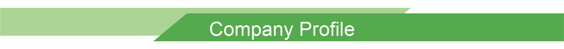 Company Profile