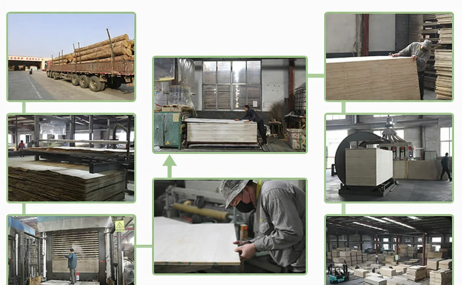 Factory production line for high-quality plywood manufacturing.