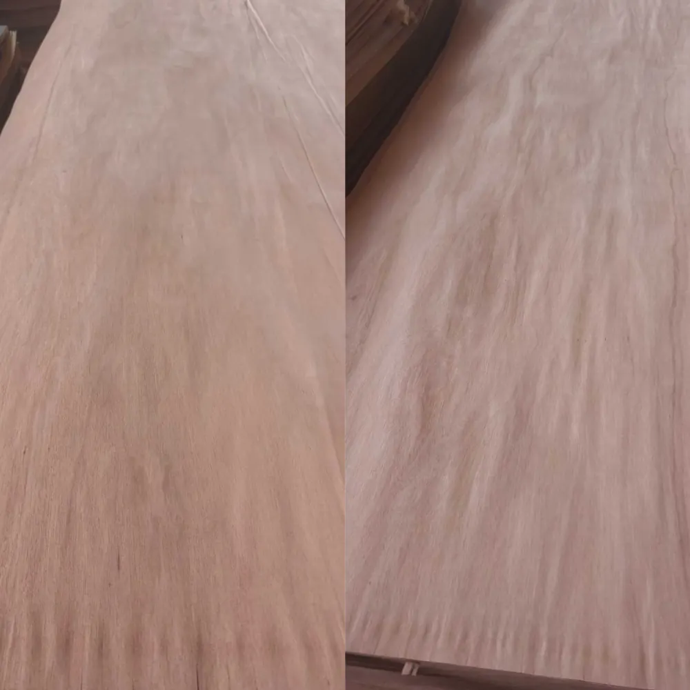 Premium BUR wood veneer for cabinetry, wall panels, and furniture