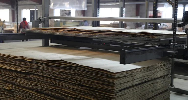 Proceso de fabricación de contrachapado comercial en el que se muestra la disposición de las láminas y el prensado en caliente