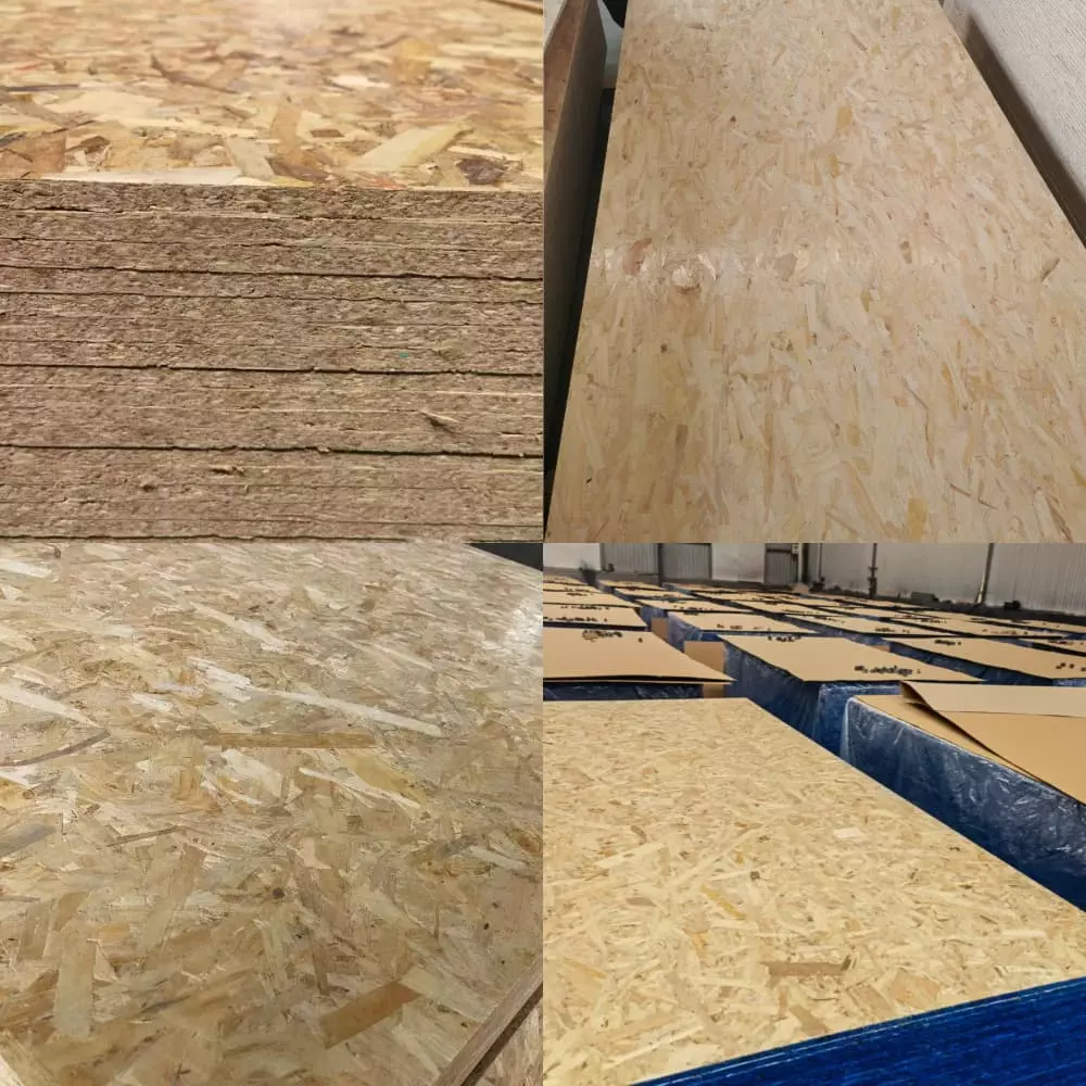 Poplar OSB Oriented Strand Board Structural Panel