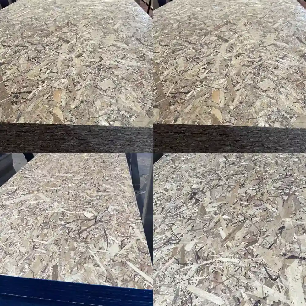 Poplar OSB Board Structural Engineered Wood Panel