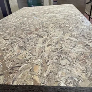 Poplar oriented strand board for roofing, flooring, and structural applications