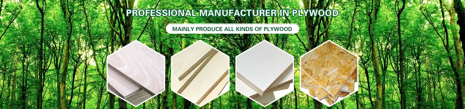 About us banner showing building materials company factory and plywood production overview