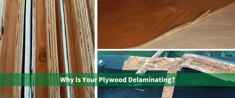 Guía de deslaminación de madera contrachapada que muestra un primer plano del problema de separación de las capas de madera contrachapada dañadas.