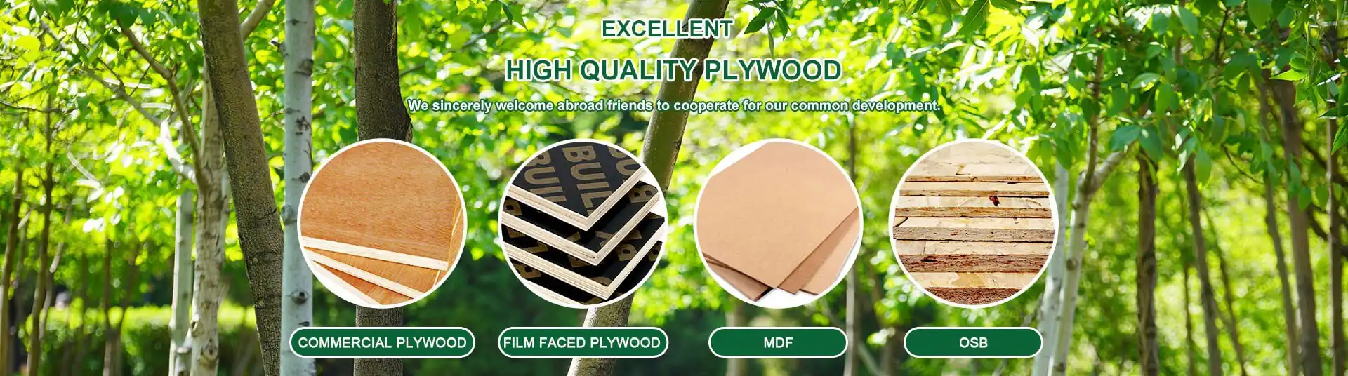 Plywood product page banner showing high quality plywood sheets for construction and furniture applications