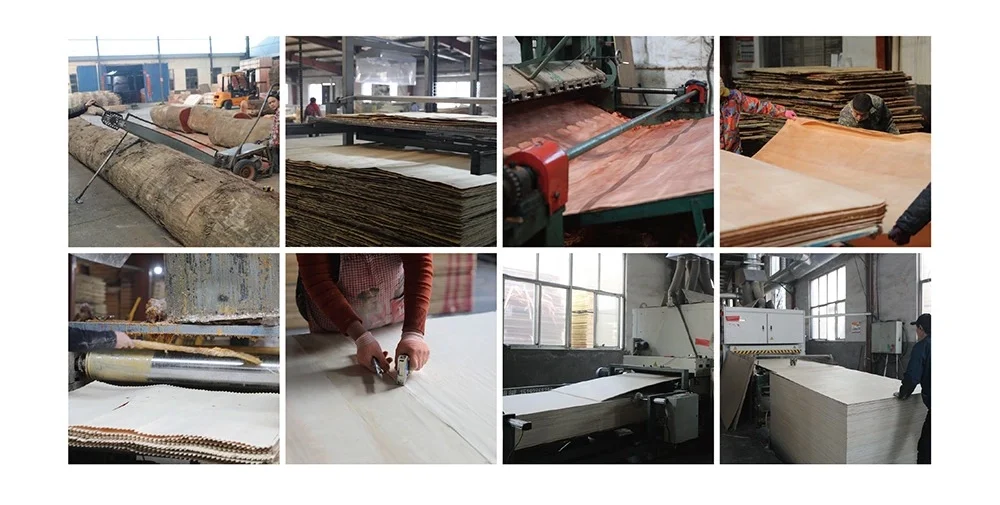 Bait Group workshop showcasing advanced production facilities and equipment for MDF board manufacturing