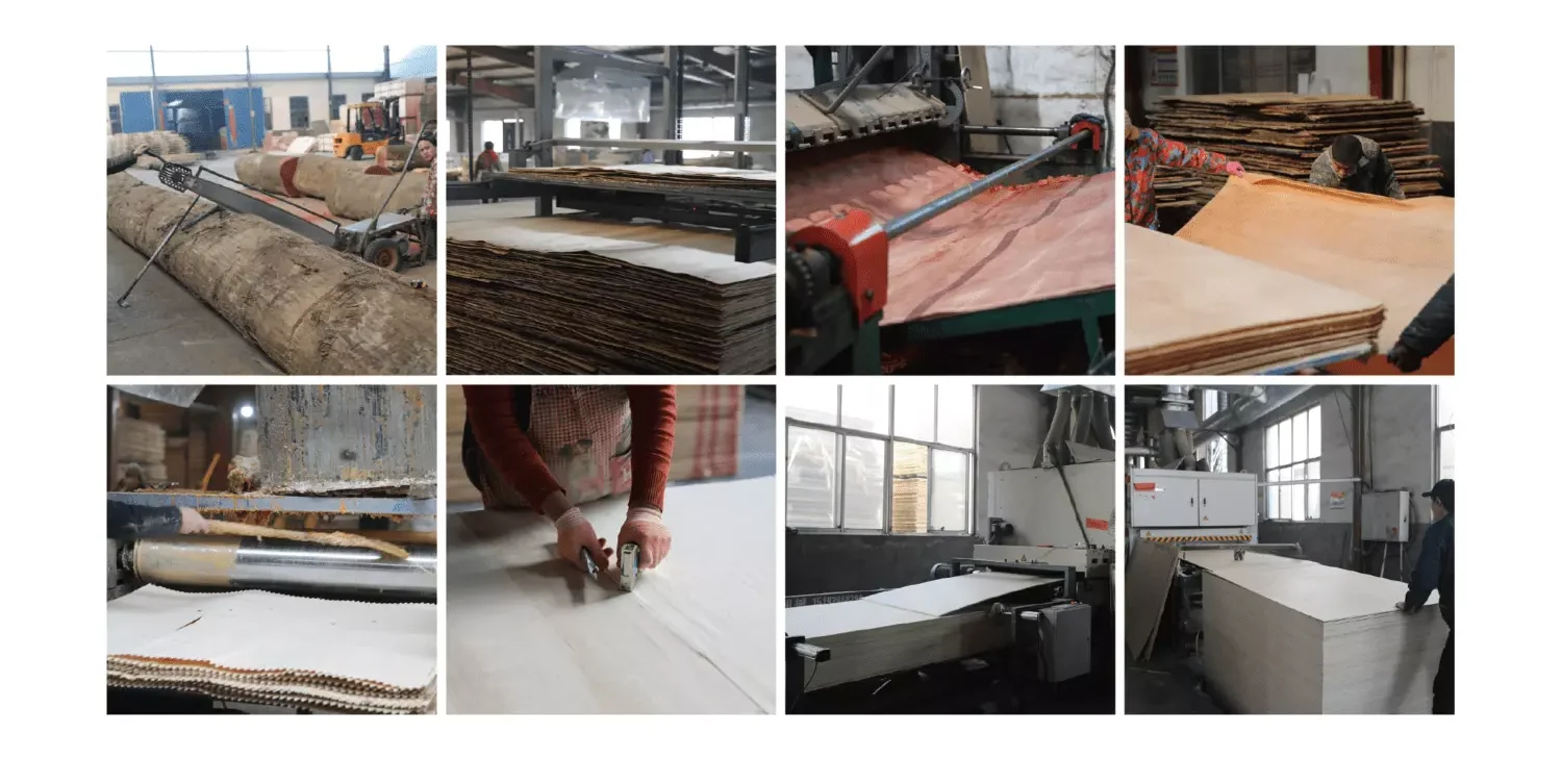 Bait Group workshop showcasing advanced production facilities and equipment for MDF board manufacturing
