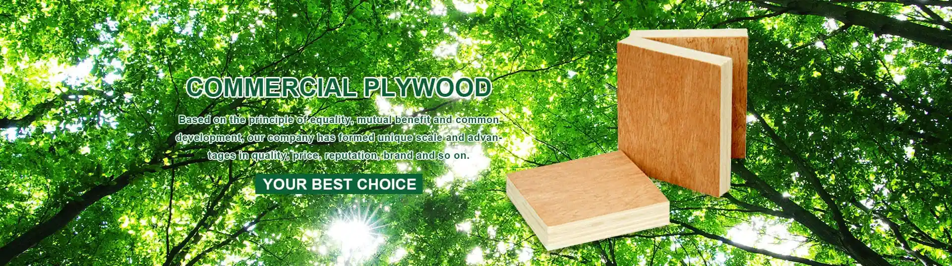 Workshop banner background showing plywood production workshop and manufacturing machinery