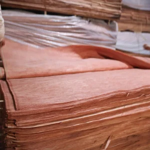 Natural Bintangor veneer sheet with smooth wood grain for furniture and interior decoration.