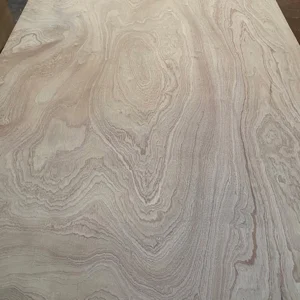 Sapele plywood with decorative wood veneer surface for furniture and interior applications.