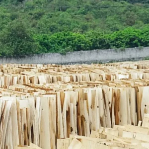 Veneer drying process in plywood manufacturing to reduce moisture content and improve stability.