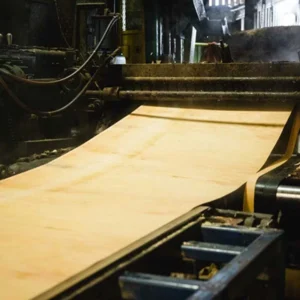Veneer peeling process in plywood manufacturing using rotary cutting technology.