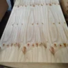 CDX plywood sheet natural wood veneer surface close up