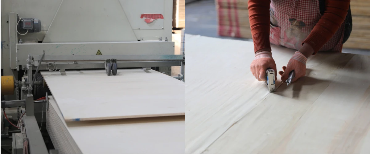 Factory production line showing large-scale plywood manufacturing for capacity evaluation.