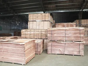 wood factory operations: office desk, exterior building, sanding machinery, veneer rolling, and the automated production line.