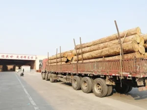 wood factory operations: office desk, exterior building, sanding machinery, veneer rolling, and the automated production line.