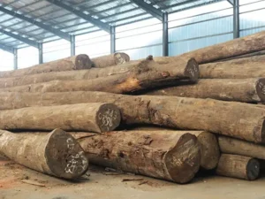 wood factory operations: office desk, exterior building, sanding machinery, veneer rolling, and the automated production line.
