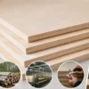 A buyer evaluating a reliable birch plywood supplier based on product quality, certifications, production capacity, pricing, and delivery time.