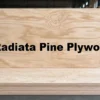 Radiata pine plywood sheets showing the wood grain and panel surface