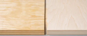 Radiata pine plywood vs birch plywood comparison showing differences in wood grain, strength, and appearance