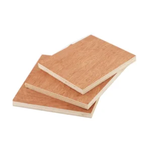 Bintangor veneer plywood for furniture and construction