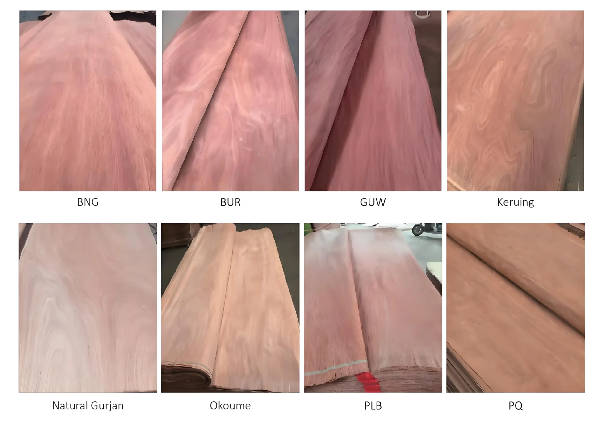 Natural rotary cut natural wood veneer, natural veneer face for plywood furniture decoration