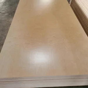 UV Birch Plywood interior wall