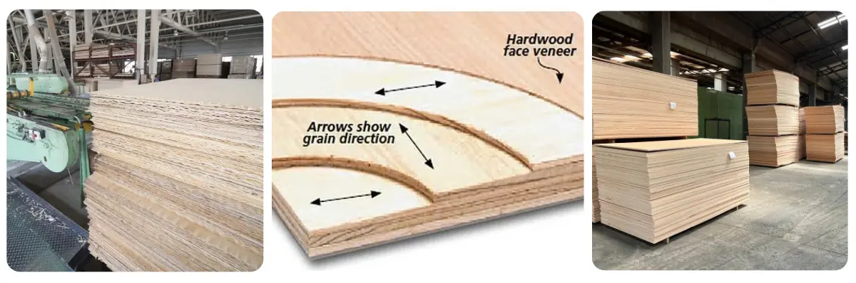 Regular plywood panel with natural wood veneer surface and visible layered plywood structure