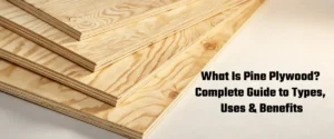 pine plywood sheets product