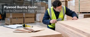 Plywood buying guide for B2B buyers